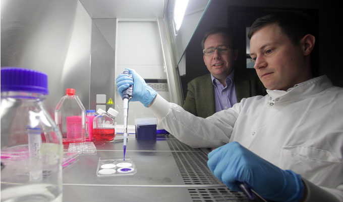 Professor Che Connon and Dr Stephen Swioklo working in the lab